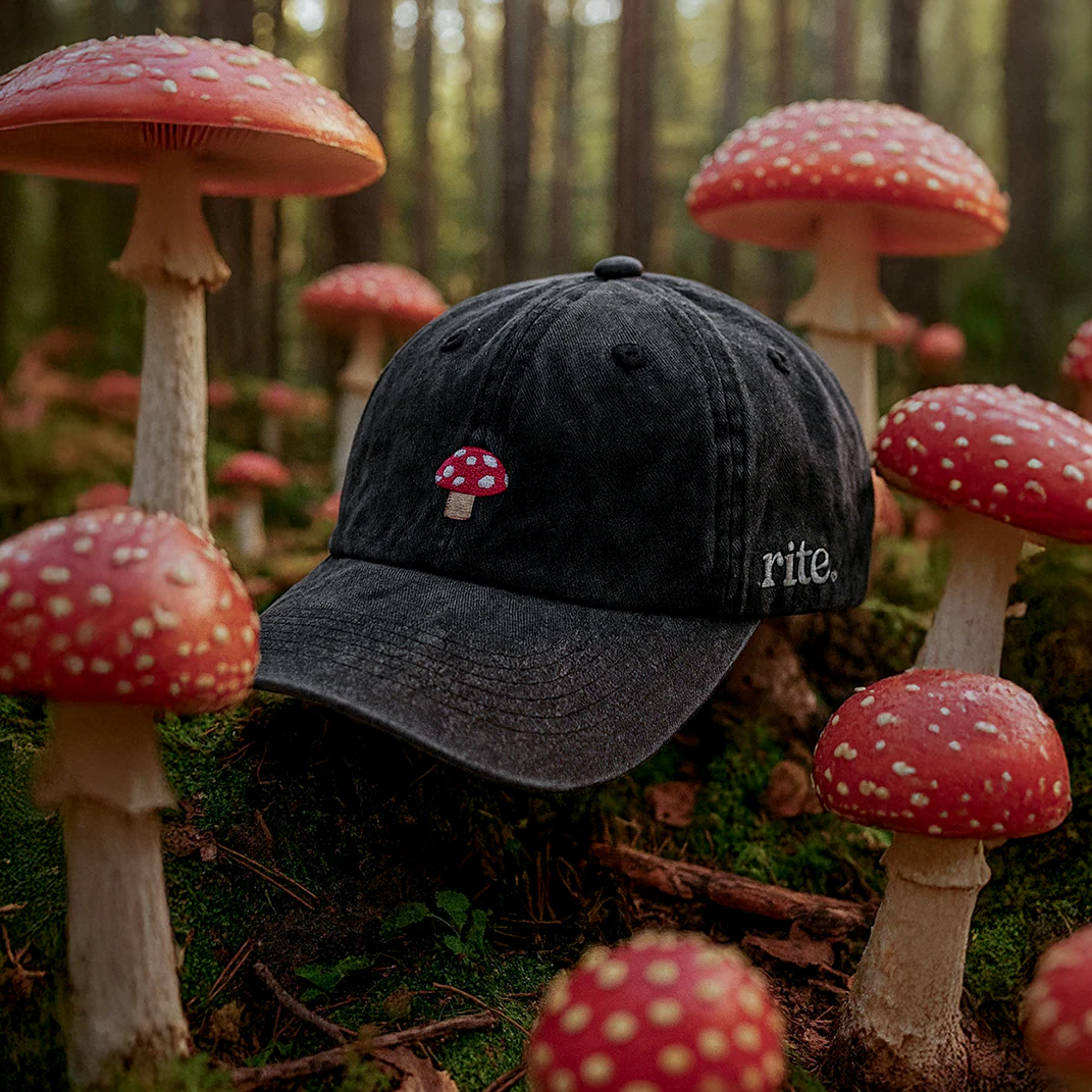 Mushroom Cap - Image 4